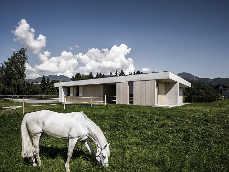 Marte.Marte Architekten : Pferdepraxis Griss - best architects 16