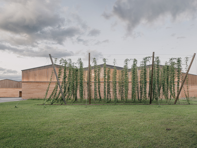 dunkelschwarz: Trumer Privatbrauerei - best architects 27